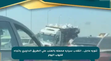 تنويه عاجل.. انقلاب سيارة محملة بالعنب على الطريق الدائري باتجاه قليوب اليوم